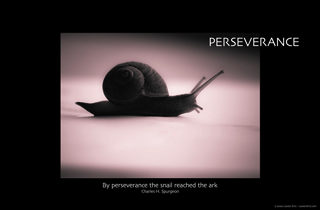 Perseverance Perseverance