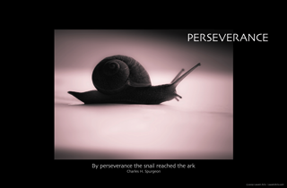 Perseverance